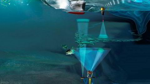 Observasjoner av livet i havet blir gjort med ny integrert teknologi. Det blir blant annet brukt bunnstående sensorplattformer, overflatebøyer, satellitter og fartøy.