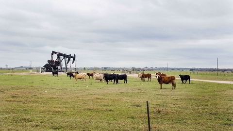 Statoils milliardnedskrivninger de siste årene har vekket bekymring hos Riksrevisjonen og Olje- og energidepartementet. Her fra skiferformasjonen Eagle Ford i Texas der Statoil er operatør.