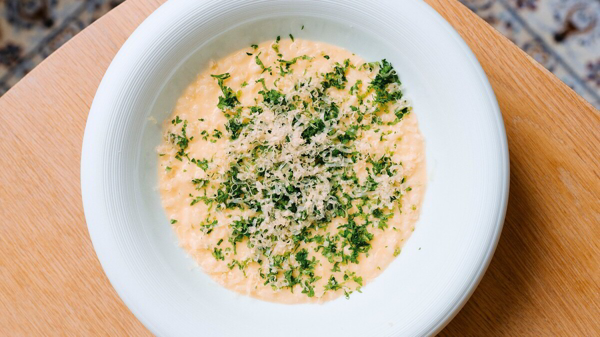 Risotto | DN