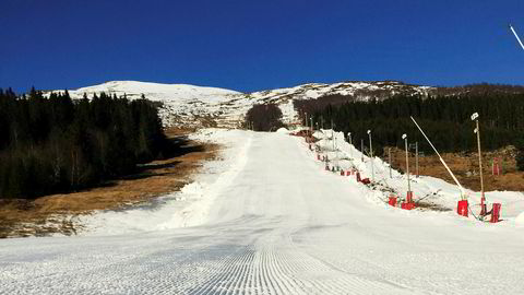 I februar har gress og grønne skoger prydet terrenget rundt kunstsnøen i Harpefossen skisenter.