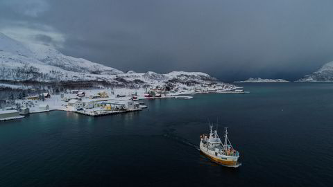 Fiskebåten «Mjosund» har levert skrei hos Lerøy Seafood i fiskeværet Tromvik utenfor Tromsø.