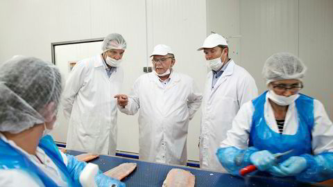 Morpol-gründer Jerzy Malek (i midten) viser påtroppende styreleder Jon Hindar og oppkjøpsfondssjef Reynir Indahl i Summa Equity rundt på den nye fabrikken til Milarex i Slupsk, Polen. Målet er at fabrikken skal bli størst i verden på videreforedling av laks.