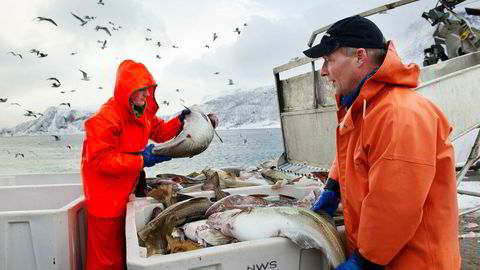 Skipper Lars Kristian Indahl (til høyre) og fisker Devidas Vilimas på fiskebåten «Mjosund» leverer fisk til Norway Seafoods' fiskebruk i Tromvik utenfor Tromsø.