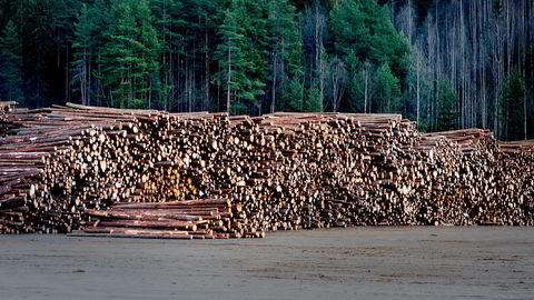 Med Europakommisjonens forslag vil det bli regnet som klimagassutslipp hvis vi nå begynner å ta ut mer biomasse fra skogen enn vi har gjort de siste 25 årene, selv om vi samtidig øker mengden karbon som lagres i skogen og vi bruker biomassen til klimavennlige produkter, skriver artikkelforfatteren.