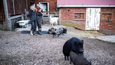 Gøy på landet. Andreas Bjørnebye og samboeren Anette Westgaard har funnet mer mening med livet på en gård i Fredrikstad. Bjørnebye savner ikke Oslo. Han lyttet til sin indre stemme og sa opp jobben han hadde