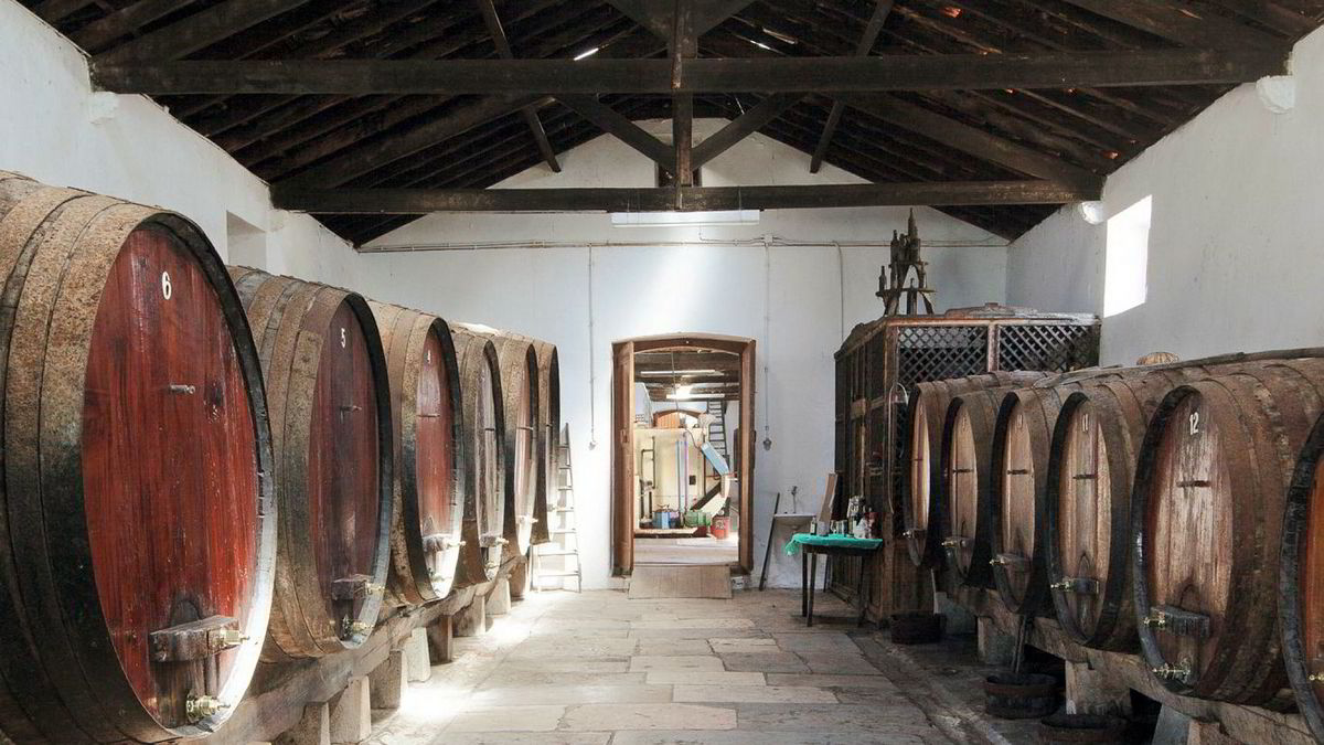 Colares fra Portugal | DN