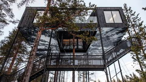 Furuhytte. The 7th room er en «helt vanlig hytte» i de svenske skoger, bortsett fra at den ruver ti meter over bakken.
