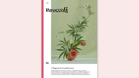 Inn i hampen. – Å lage et gratismagasin er viktig for vårt prosjekt, fordi vi mener at cannabis og cannabismedier burde være tilgjengelige, sier redaktør Anja Charbonneau, om Broccoli – et magasin om cannabis for kvinner.