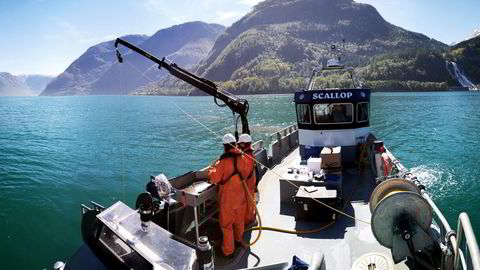 Niva tar prøver av bunnsedimentene med grabb i Hardangerfjorden. Analysene viser dårligere oksygenforhold i Hardangerfjorden for 2022 enn Niva noen gang har sett tidligere