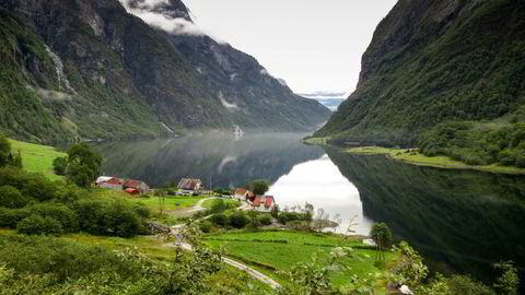 Norsk jordbruks fortrinn er ikke volumproduksjon. Som i Alpene passer naturen bedre til varer med særpreg, skriver Ivar Gaasland. Illustrasjonsfoto.