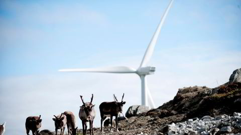 Troms Kraft planlegger å investere mer i vindkraftutbygging i regionen. Fra før av har selskapet en vindpark på Vannøya.