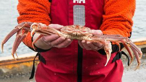EU mener europeiske fartøyer har rett til å fange like mye snøkrabbe utenfor Svalbard som norske fartøyer. Harde konfrontasjoner er i vente.