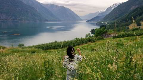 Hardanger på flaske. Trærne som klamrer seg fast i åssiden med utsikt til fjorden, gir frukt til Åkres prisbelønnede sider.