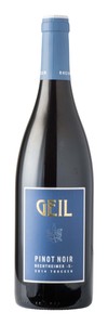 Geil Bechtheimer -S- Pinot Noir